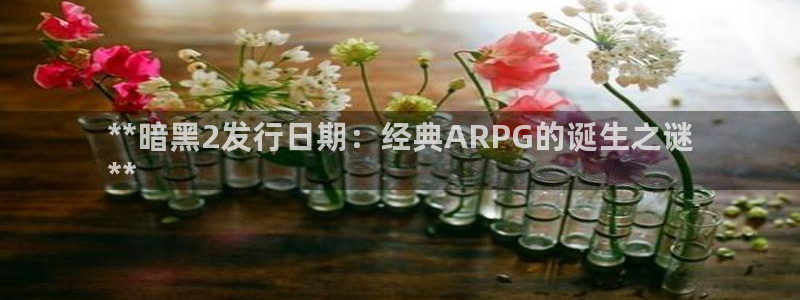 狗子28创造奇迹登录最简单三个步骤：**暗黑2发行日期：经典ARPG的诞生之谜
**